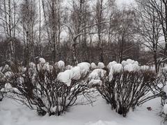 Kolomenskoye Museum-Reserve in winter