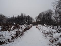 Kolomenskoye Museum-Reserve in winter, Moscow