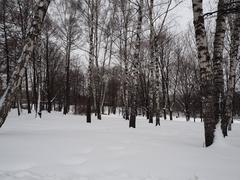 Kolomenskoye Museum-Reserve in winter