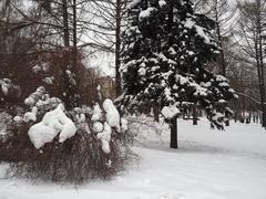 Kolomenskoye museum-reserve in winter, Moscow