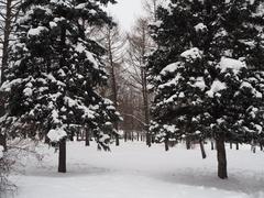 Kolomenskoye museum-reserve in winter