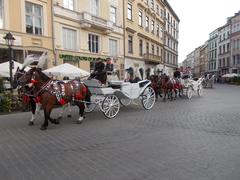 horse carriages in Krakow Old Town