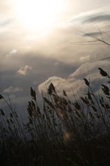 Winter morning at Leslie Street Spit in Toronto, Canada