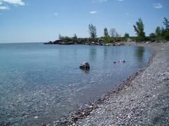 Leslie Street Spit parkland along the waterfront