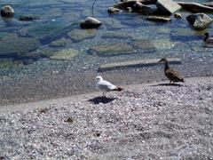 Leslie Street Spit waterfront with nature trails