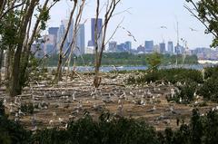 Leslie Spit in Toronto, ON with a view of the skyline and waterfront