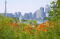 Leslie Spit waterfront in Toronto on a clear day