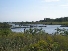 Artificial pond in Toronto's Leslie Street Spit