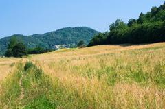 Panoramic view of Schio Rivo Ballarin during summer