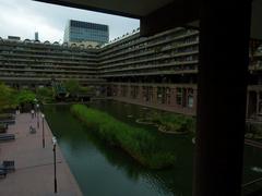 Artificial wetland in the Barbican, London