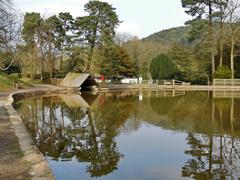 Lickey Hill Park landscape