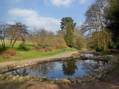 Lickey Hill Park landscape view