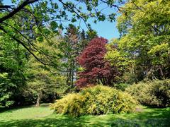 Lickey Hill Park panoramic view with lush greenery