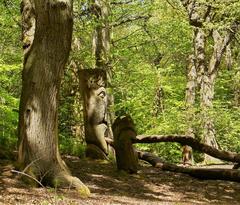 Scenic view of Lickey Hill Park with lush greenery and rolling hills