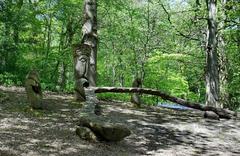 Lickey Hill Park scenic landscape