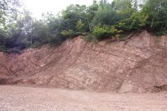 Quarry cutting at Bilberry Hill quarry in Lickey Hills Country Park