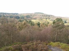 View from Bilberry Hill towards Beacon Hill in Worcestershire, England