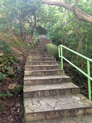 trail from Lion Rock Park towards Lion Rock in Hong Kong