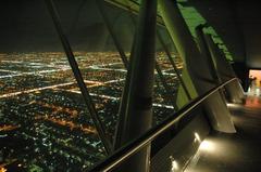 View from the Skybridge of the Kingdom Centre, Riyadh