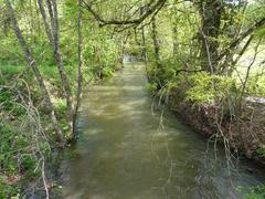 Beauronne river below bridge D710 in Dordogne, France