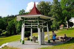 Lázně Kynžvart mineral spring Richard