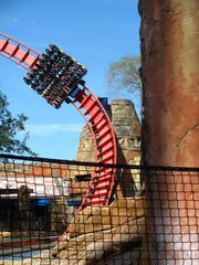 SheiKra roller coaster at Busch Gardens Tampa