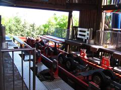 SheiKra roller coaster at Busch Gardens Tampa