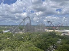 Iron Gwazi roller coaster overview at Busch Gardens Tampa Bay