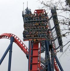 SheiKra roller coaster seating arrangement