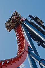 A floorless train of SheiKra on a drop