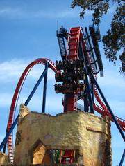 SheiKra roller coaster at Busch Gardens Tampa