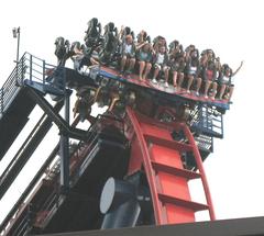 SheiKra roller coaster first drop at Busch Gardens Tampa