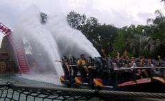 SheiKra roller coaster at Busch Gardens Africa