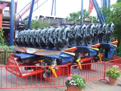 SheiKra roller coaster at Busch Gardens Africa