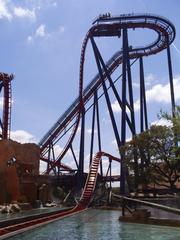 SheiKra roller coaster at Busch Gardens Africa