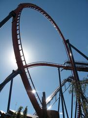 SheiKra roller coaster performing Immelmann loop at Busch Gardens