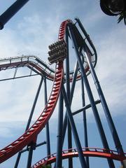 SheiKra roller coaster train dropping at Busch Gardens Tampa Bay