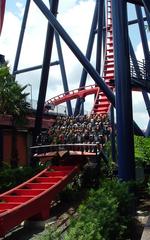 SheiKra roller coaster train descending at high speed