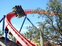 SheiKra roller coaster at Busch Gardens Tampa