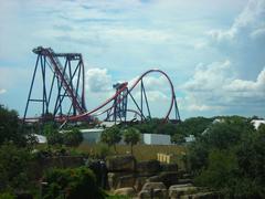 Sheikra roller coaster at Busch Gardens Africa