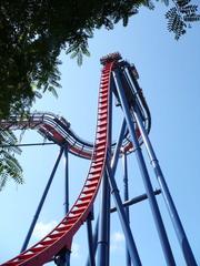 Sheikra roller coaster main drop at Busch Gardens