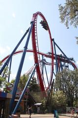 Busch Gardens Tampa Bay roller coaster with scenic landscape