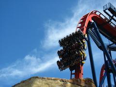 SheiKra roller coaster drop at Busch Gardens Tampa