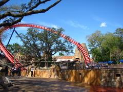 SheiKra roller coaster at Busch Gardens Tampa