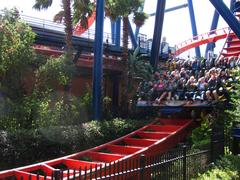 SheiKra roller coaster at Busch Gardens Tampa