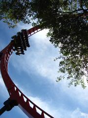 SheiKra roller coaster at Busch Gardens Tampa