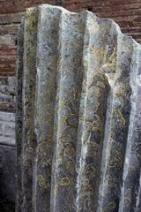 Ancient column remains in the Pozzuoli Amphitheater