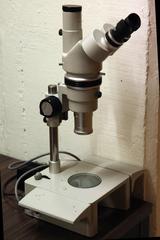 Nikon microscope at Geneva museum of Natural History