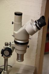 Nikon microscope at Geneva Museum of Natural History