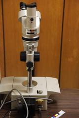 Nikon microscope at Geneva museum of Natural History